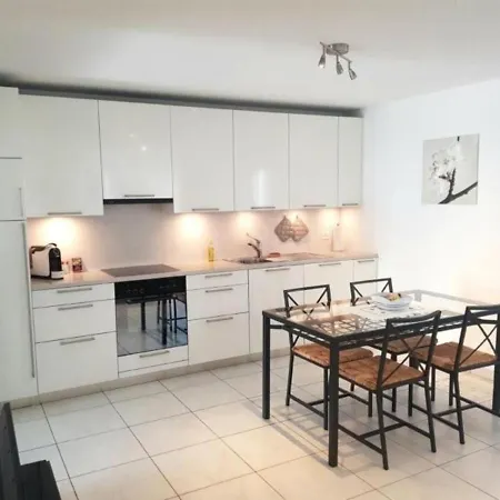Residenza Vivian - Swan Apt 304 Apartment Locarno